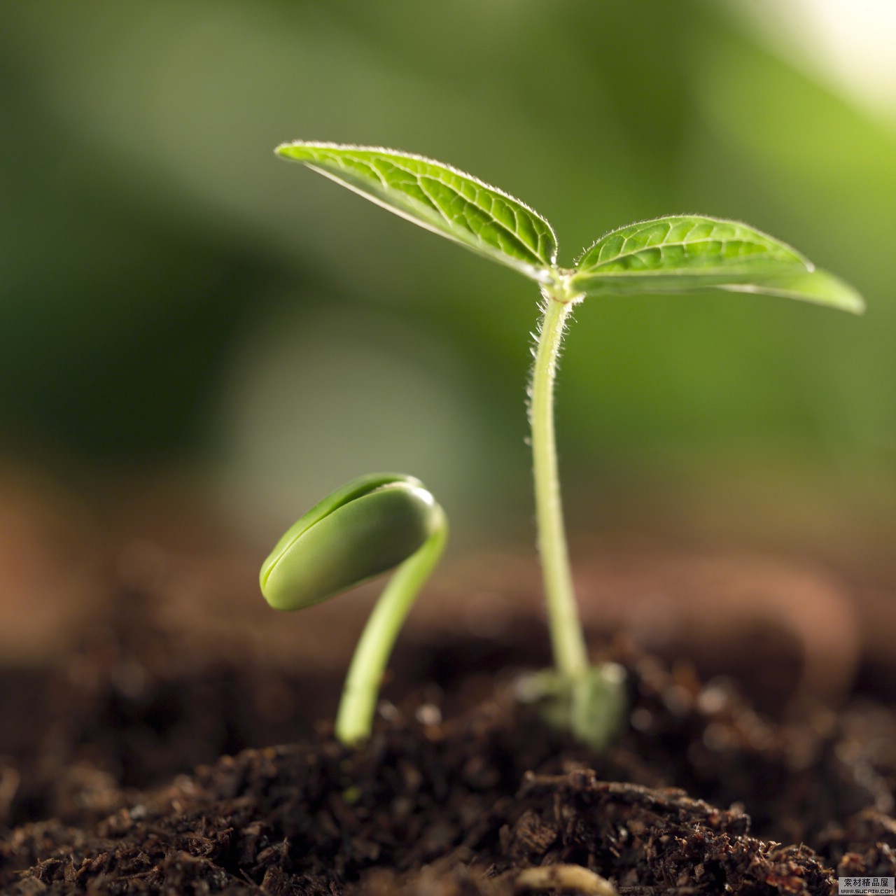 選擇凱能鍋爐，共創(chuàng)綠色家園