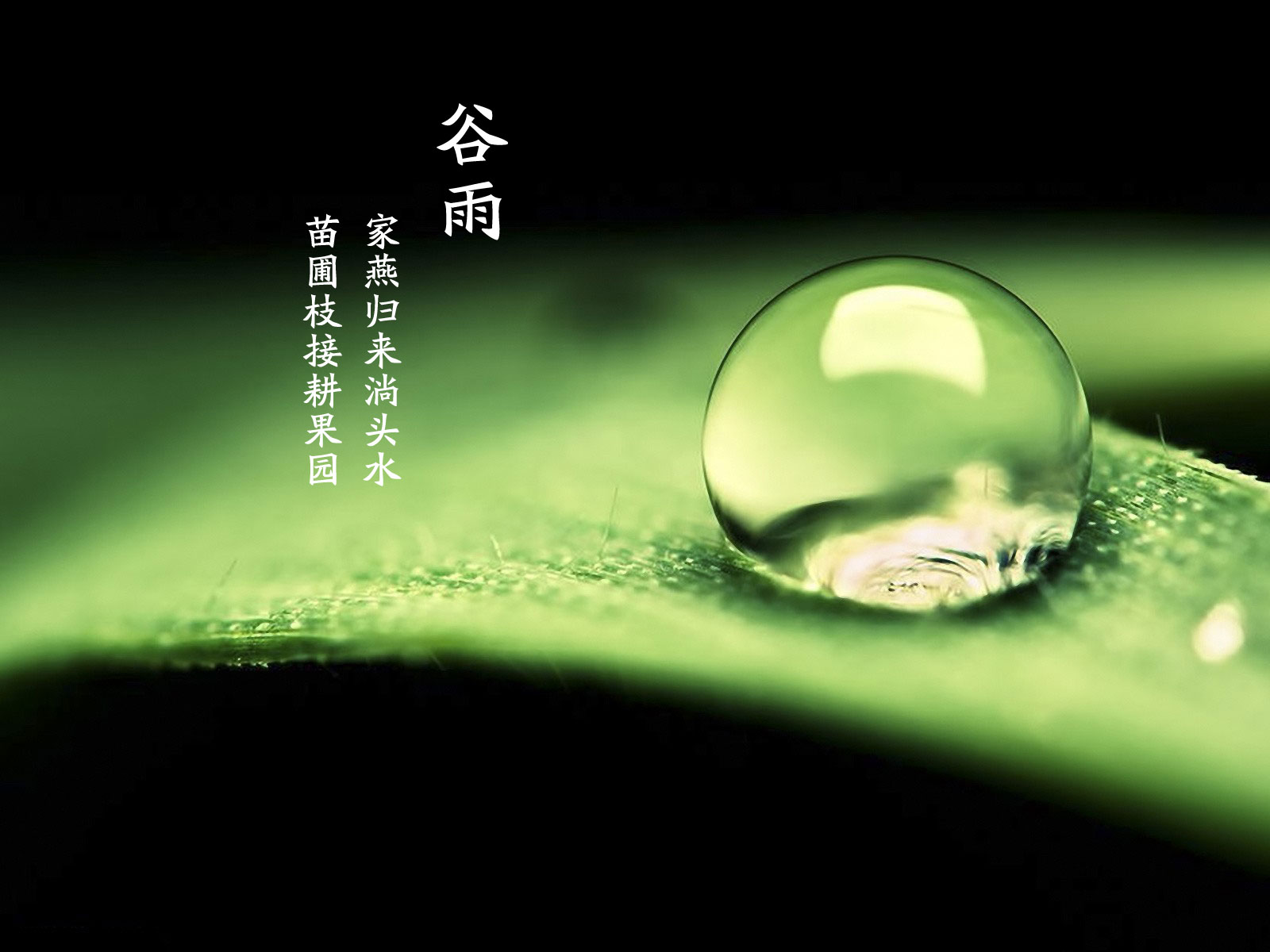 谷雨已至您還在猶豫嗎？