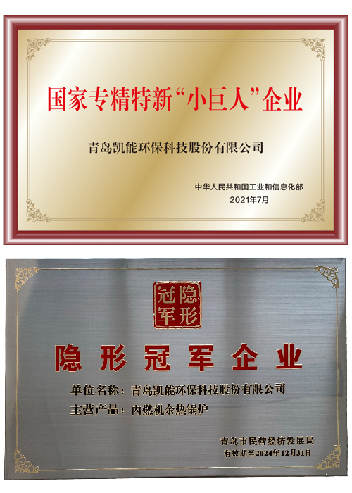 凱能榮獲專精特新&ldquo;小巨人&rdquo;企業(yè)和隱形冠軍企業(yè)