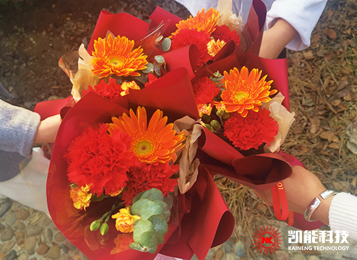 女生節(jié)快樂